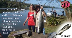 MYDO Queen Mackerel Spread